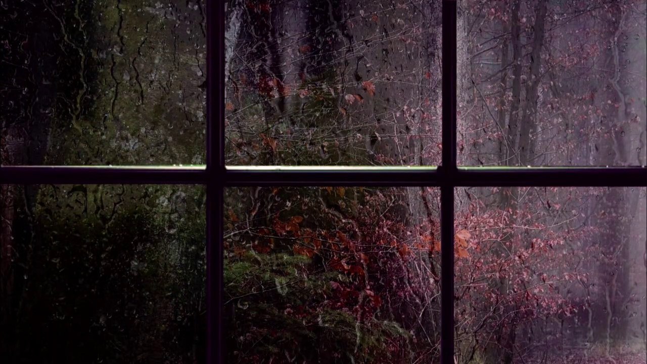 Looking at the Rain