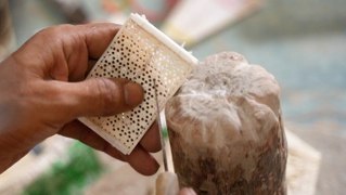 How bone carvers in India are keeping a prehistoric art alive