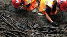 4000-Year-Old DNA Identifies Britain's Oldest Known Case of Plague