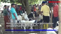 Pasar Hewan di Jombang Semakin Ramai, Jelang Iduladha