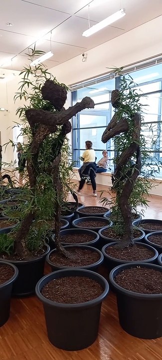 Musée de Grenoble - Département de l'Isère  #isère #cultureisère #musée #culture #france #grenoble   (5)