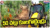50 Trees Were Cut Down By Gram Panchayat Officials For Laying Drainage Pipes _ V6 Teenmaar