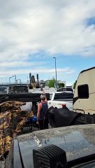 Download Video: Megasaurus Sighting at BC Ferries Terminal