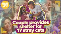 Couple provides shelter for 17 stray cats | Make Your Day