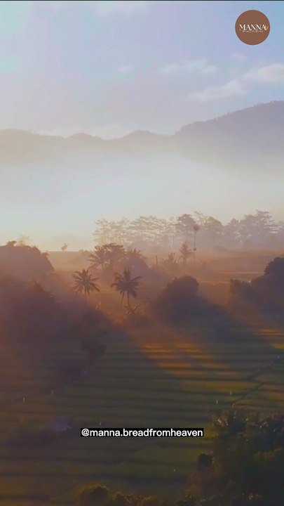 Lamentations 3:22-23 #lamentations #bible #shorts