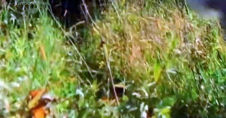 Jurassic Fight Club Jurassic Fight Club E003 Gang Killers