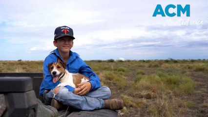 Cost of Living Crisis Forces Queensland Kids to Travel Miles for School 🚸