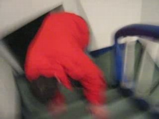 Patoch En Galère Dans Les Escaliers