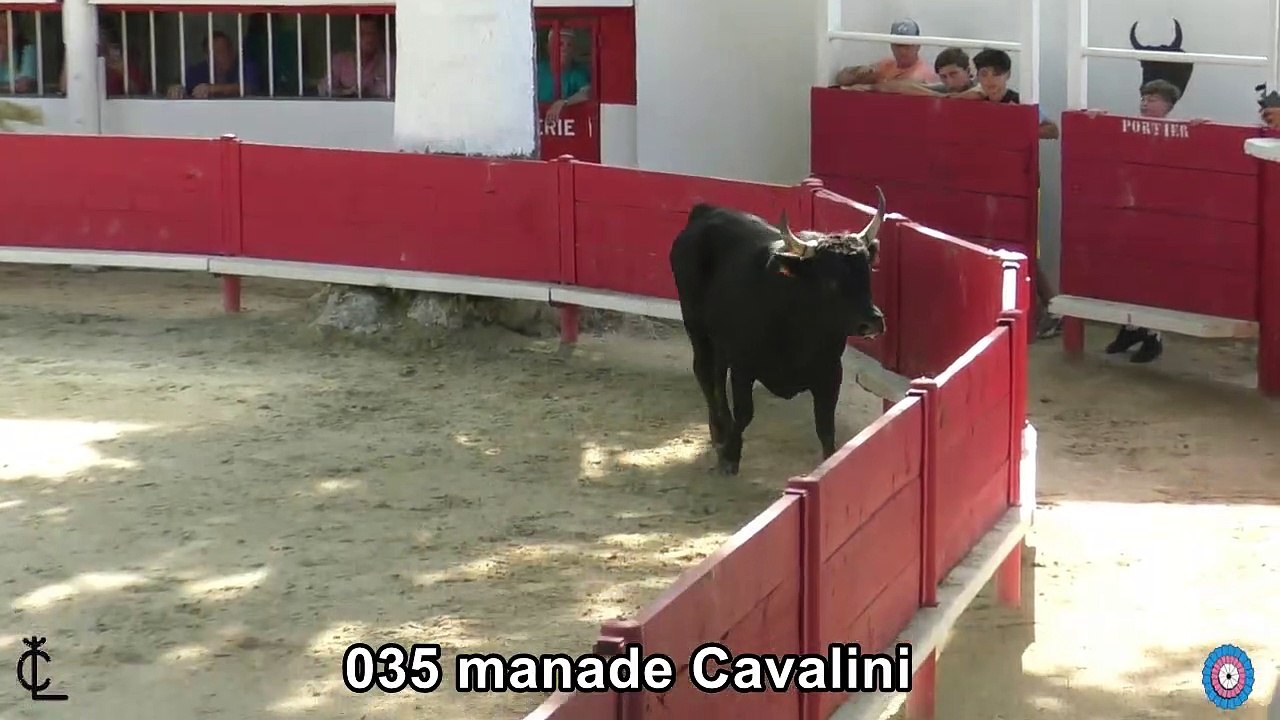 2023 05 27 Cavalini 035