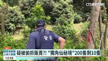 疑偷抓販賣？！　彰化「獨角仙秘境」200隻剩10隻