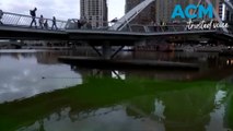 Melbourne's Yarra River turns fluorescent green