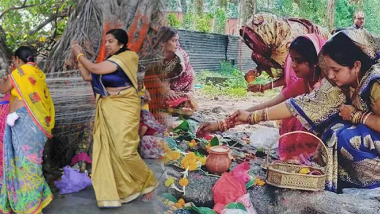 Vat Savitri Purnima Vrat 2023 Niyam : वट सावित्...