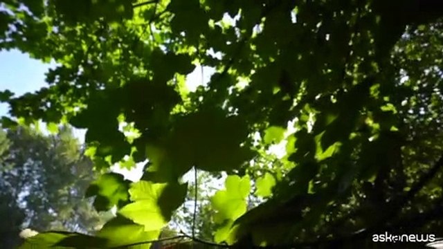 Passare dal mito dell'abbondanza a un'economia dell'abbastanza