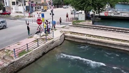 Adana'da sulama kanalında yüzen çocuğun akılalmaz sözleri