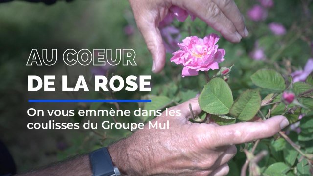 Territoire Eco dans les coulisses du groupe Mul