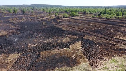 Incendie dans les Hautes-Fagnes : les hommes du feu demandent plusieurs hélicoptères bombardiers d'eau