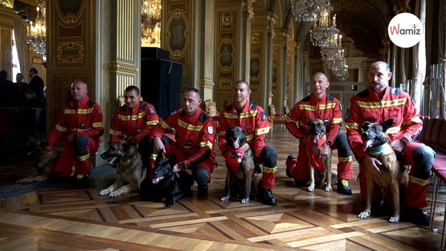 Trophées des Chiens Héros 2023 : la Centrale Canine récompense 21 chiens d’exception !