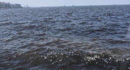 Prof. Dr. Yaşar: İzmir Körfezi ‘çok ağır hasta’