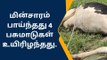 கிருஷ்ணகிரி: மின்சாரம் தாக்கி 4 பசுமாடுகள் உயிரிழப்பு-பெரும் சோகம்