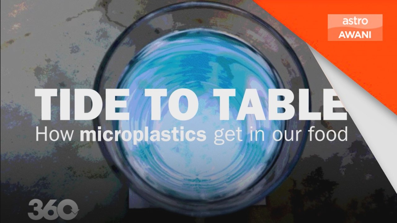 Tide to table
