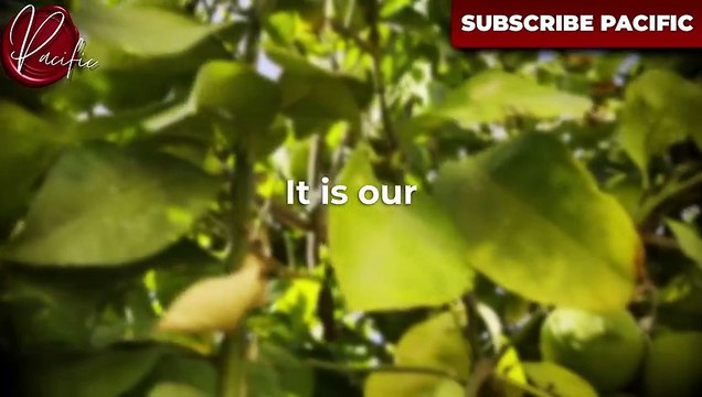 Dr Joe Dispenza & Wayn Life Advice Will Leave You SPEECHLESS - One of the Most Eye Opening Speeches