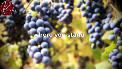 I Met 94 Billionaires … Here’s How You Manifest CRAZY AMOUNT OF Money And Abundance ｜ Joe Dispenza