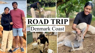 Exploring Denmark Western Australia ❤️ | Beaches  | Petting Zoo  | Gayathri Reddy