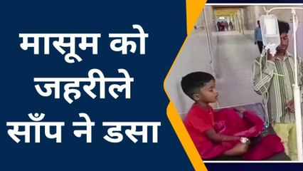 कुशीनगर: खुले में शौच करनें गए मासूम को जहरीले साँप ने डसा, इलाज जारी