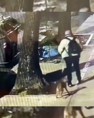 “Escuchamos los llantos": tiró a su perro adentro del contenedor de basura en Monte Castro