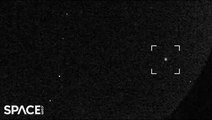Perseid Meteors Via NASA’s All Sky Fireball Network Cameras