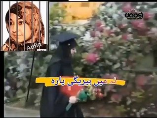 1992کا وہ خوبصورت دن جب حافظ قرآن ڈاکٹر عافیہ صدیقی  ایوارڈ لے کر گھر میں آ ئی تھی ڈاکٹر عافیہ صدیقی کی رہائی کے لیے خصوصی دعا کریں