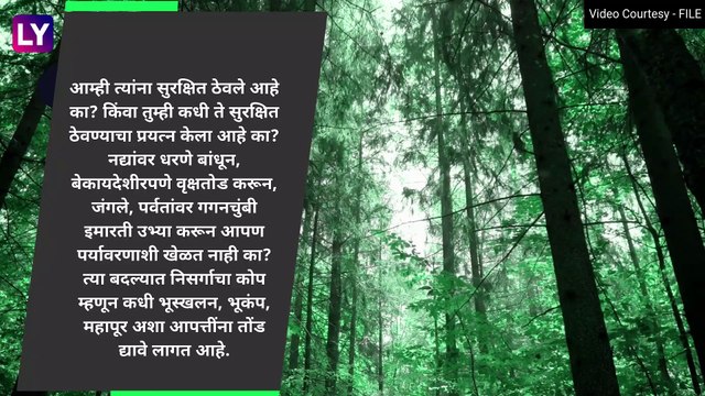 World Environment Day 2023: जागतिक पर्यावरण दिनाची तारीख, महत्व आणि इतिहास, जाणून घ्या