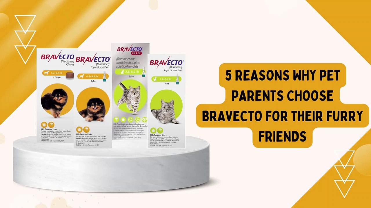 5 Reasons Why Pet Parents Choose Bravecto for Their Furry Friends