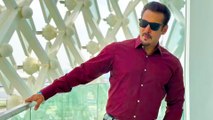 Salman Khan ने साउथ की फिल्मों के ऑफर ठुकराए, Karan Johar, के साथ एक्शन फिल्म तो Sooraj Barjatya के साथ करेंगे फैमिली फिल्म
