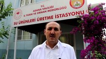 Adana Directeur provincial de l'agriculture et de la foresterie Tekin： 