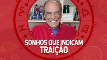 Sonhar com animais pode indicar traição! Descubra quais outros sonhos também indicam