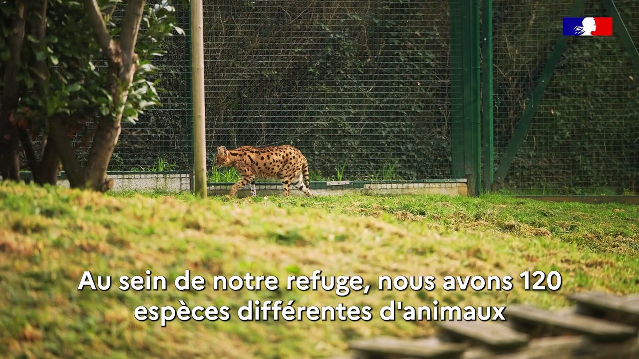 Le Refuge de l'Arche