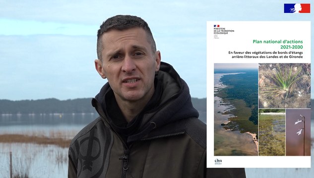 Plan National d'Actions #6 - Les végétations des bords d'étangs arrière-littoraux des Landes et de Gironde