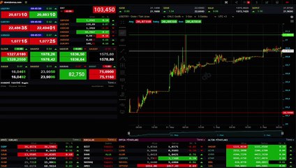 Les marchés sont assez actifs avant le nouveau Cabinet ! Dollar⧸TL poursuit sa série de records aujourd'hui