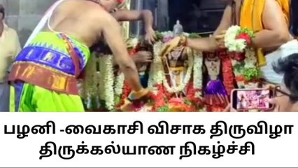 பழனி: வைகாசி விசாகத் திருவிழா திருக்கல்யாண நிகழ்ச்சி!