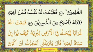 Para 06 3rd Part Daily Listening QuranPak By MbA Recitation.