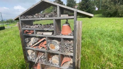 L'AS Saint-Etienne plus vert que jamais