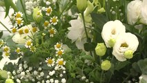 [대구] 전국 최대 실내 플라워 쇼...'꽃의 힘' 느끼는 축제 / YTN
