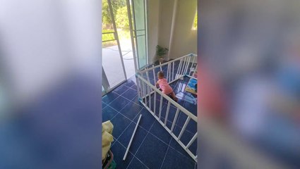 Moment one-year-old toddler breaks apart playpen bars to escape