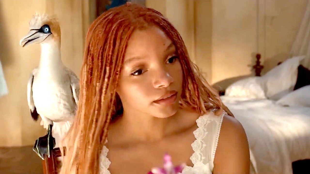 The Scuttlebutt Clip from Disney's The Little Mermaid video Dailymotion