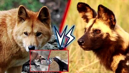 10 000 Subscribers Special Q and A