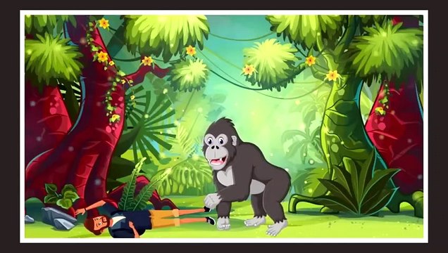 12Gorilla vs Orangutan + Caracal vs Clouded Leopard winner