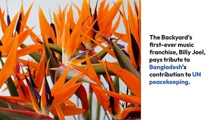 Facts About Billy joel Revealed