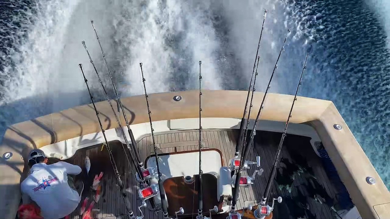 Marlin Expeditions: The Ultimate Immersive Billfishing Experience