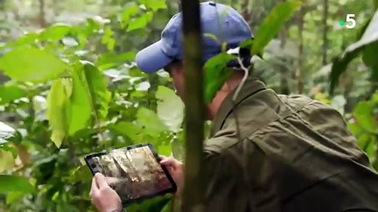 Titanoboa  le serpent géant disparu - ZAPPING SAUVAGE